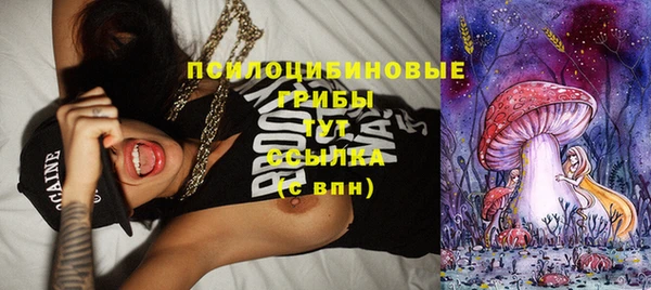 хмурый Балахна