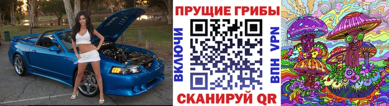 мега вход  Орлов  Галлюциногенные грибы Psilocybe 
